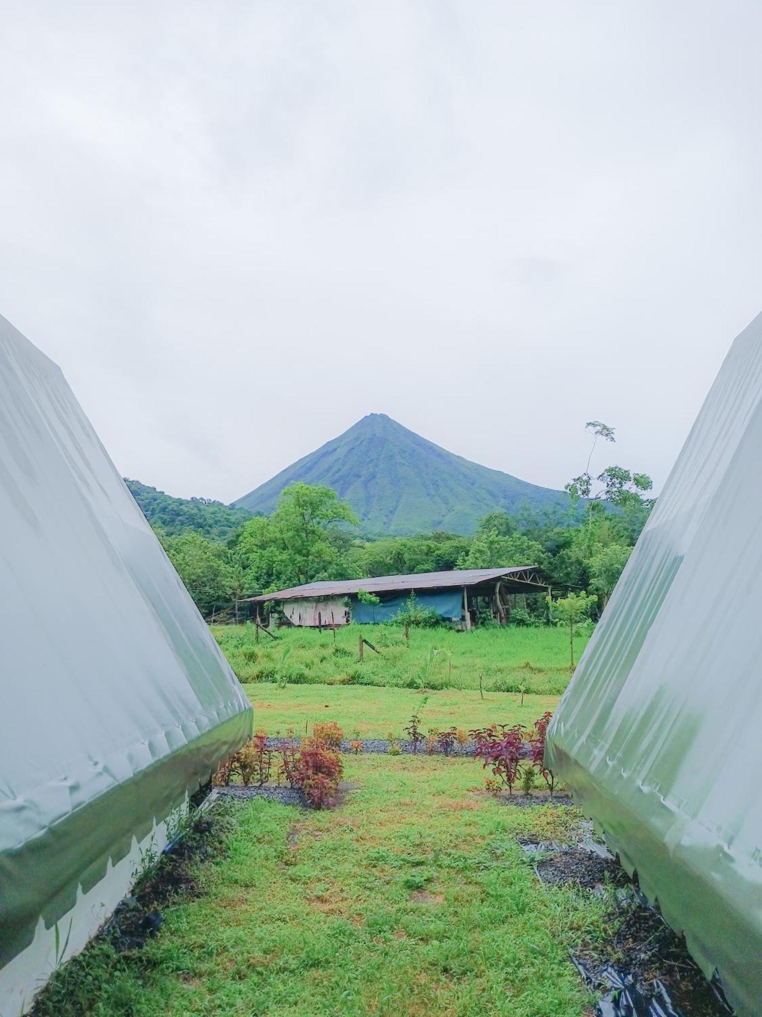Flora Glamping De Abuela Villa La Fortuna Exterior foto