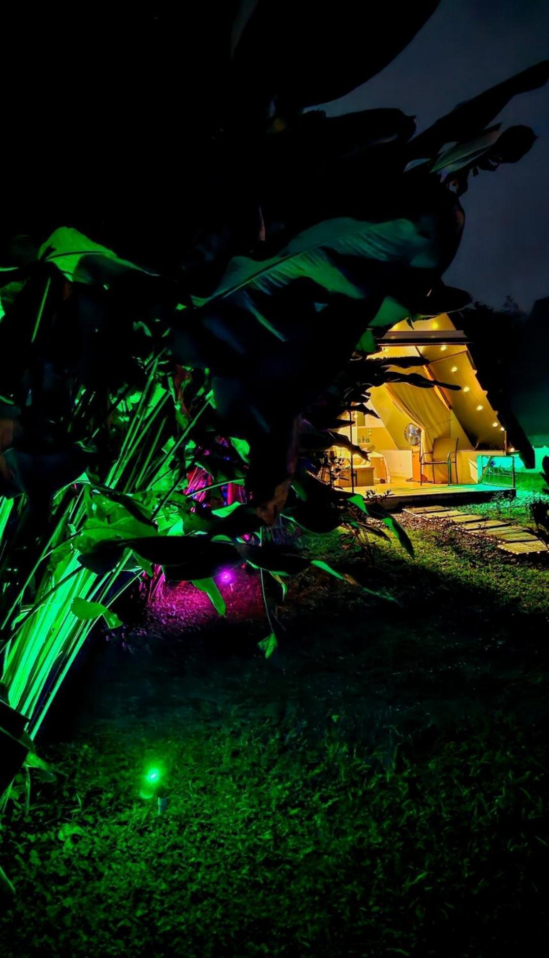Flora Glamping De Abuela Villa La Fortuna Exterior foto