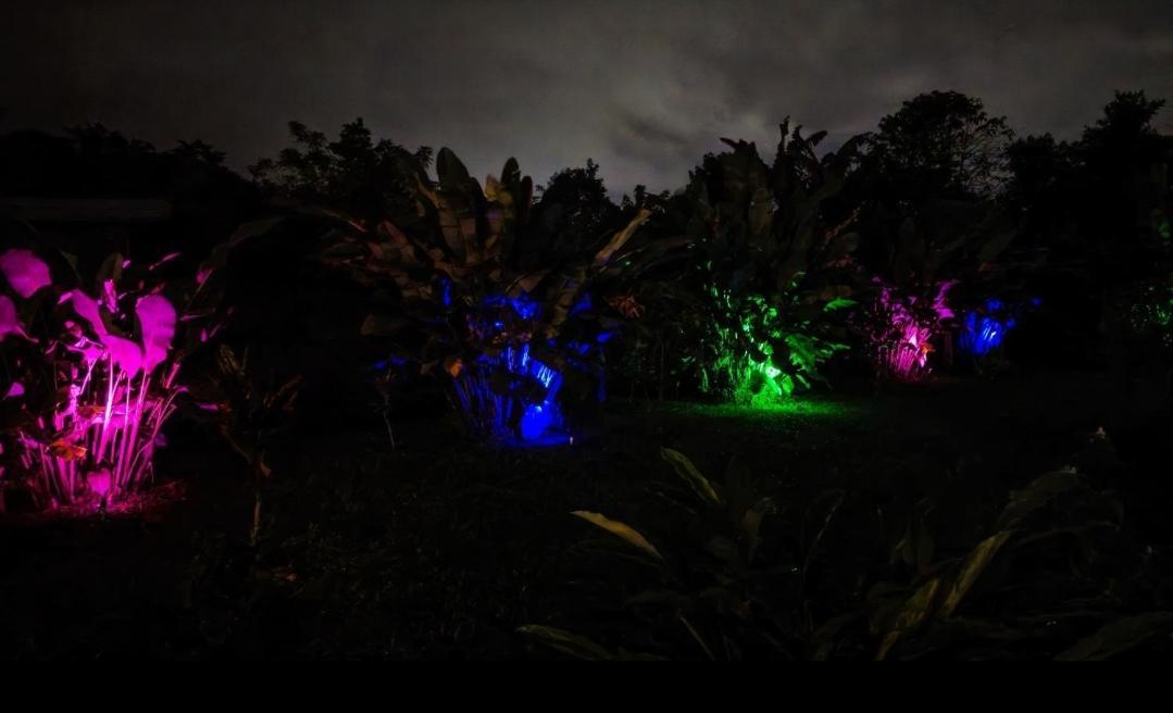 Flora Glamping De Abuela Villa La Fortuna Exterior foto